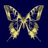 Gif 356 a